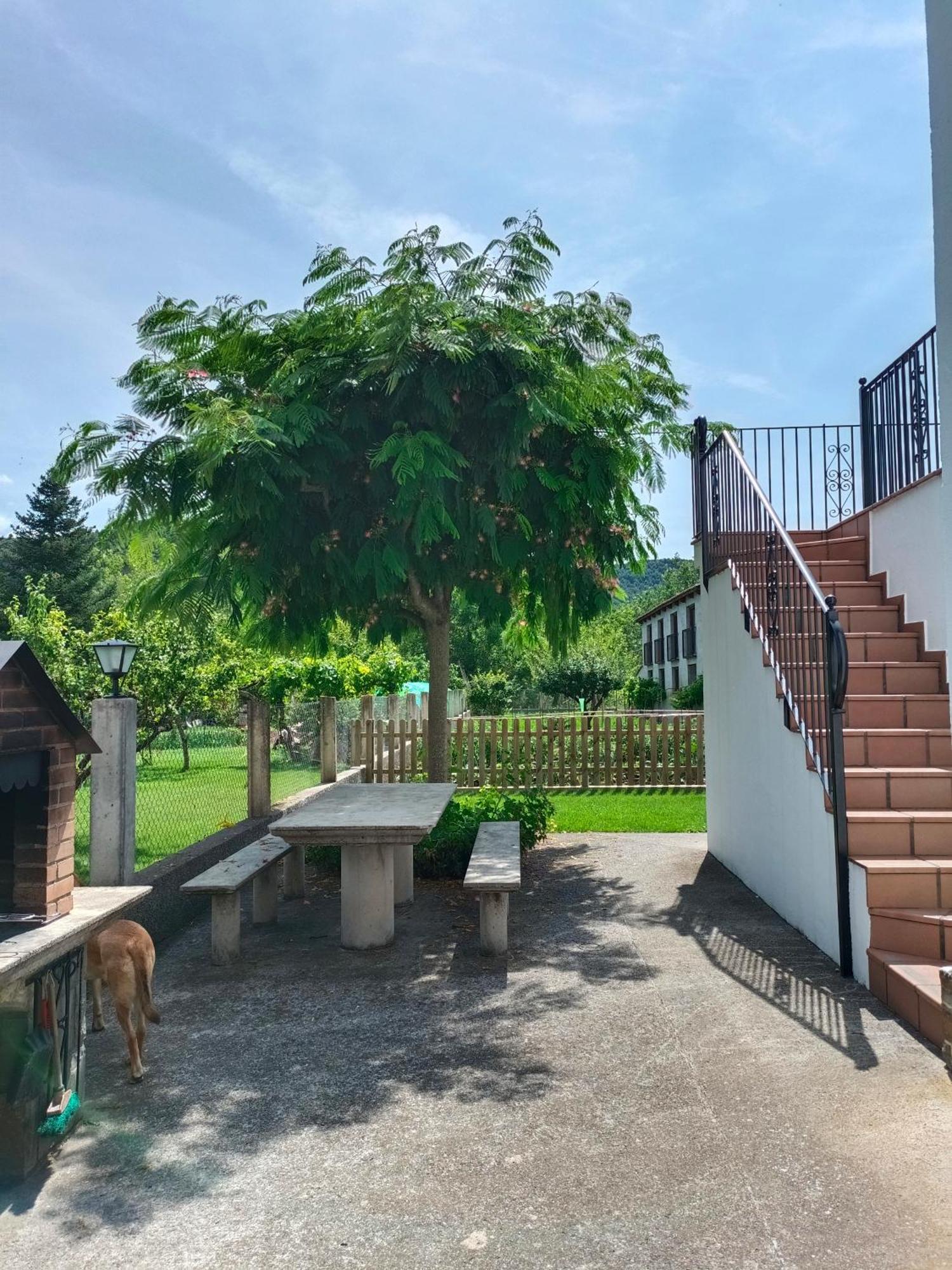 Apartamento Rural Casa Paco Con Jacuzzi Exterior Y Barbacoa 아인사 외부 사진